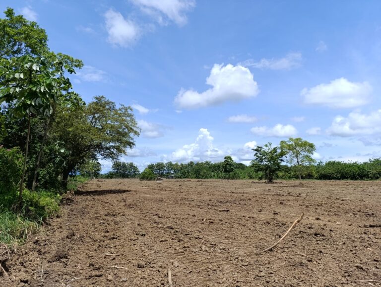 Venta de terrenos en Urabá para bodegas