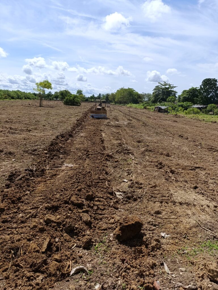 Venta de tierras en Urabá